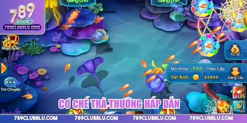 Cơ chế trả thưởng hấp dẫn