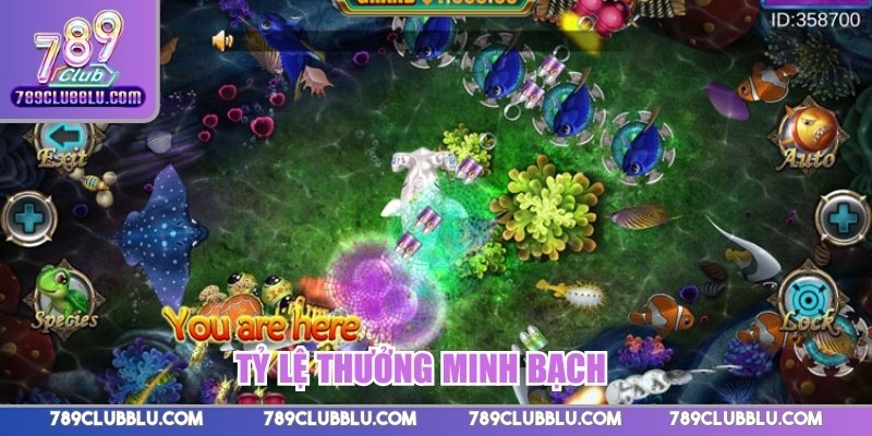 Tỷ lệ thưởng minh bạch